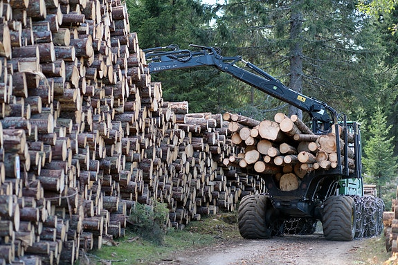 Bilde 4 av 4 i jobbannonse-galleriet