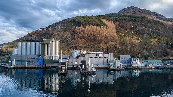 Bilde 1 av 1 i jobbannonse-galleriet