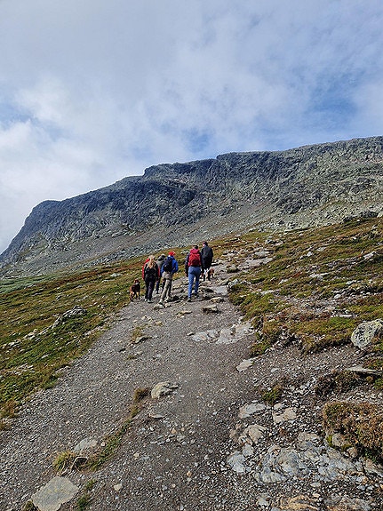 Bilde 4 av 5 i jobbannonse-galleriet