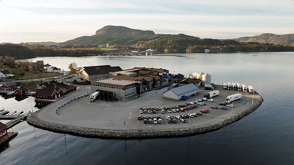 Ryfisk, Mowi sitt prosessanlegg på Hjelmeland