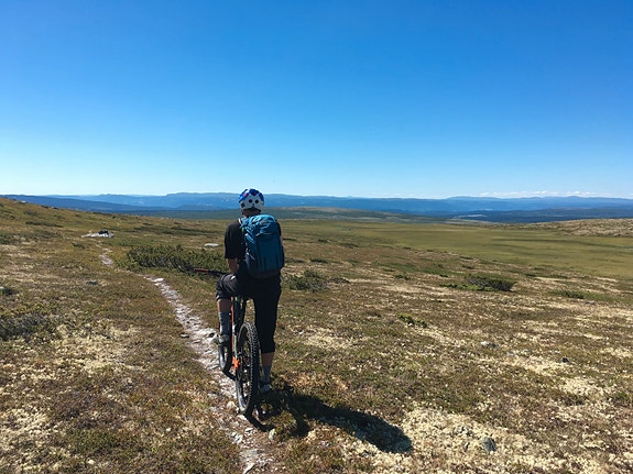 Bilde 2 av 3 i jobbannonse-galleriet