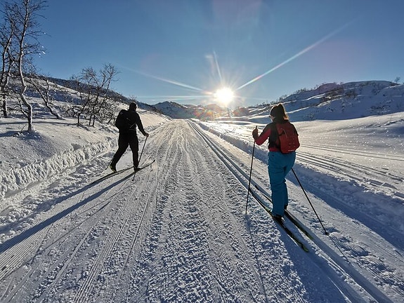 Bilde 5 av 5 i jobbannonse-galleriet