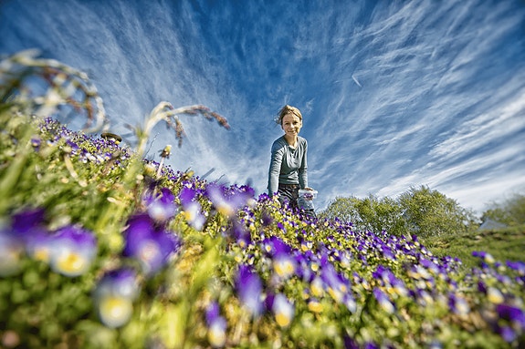 Bilde 3 av 3 i jobbannonse-galleriet