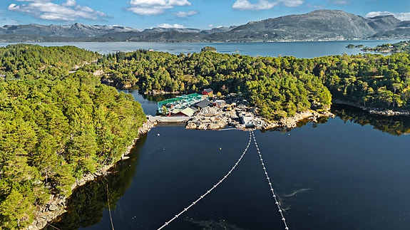 Bilde 2 av 4 i jobbannonse-galleriet