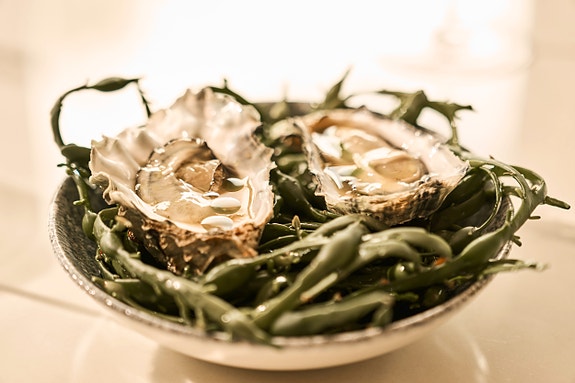 Bilde 4 av 8 i jobbannonse-galleriet