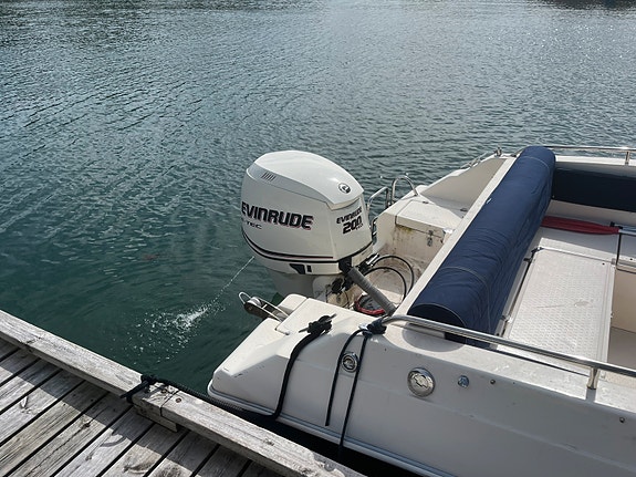 Oceanmaster 660br med Evinrude 200ho 2 of 30