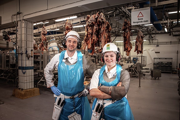 Bilde 4 av 5 i jobbannonse-galleriet