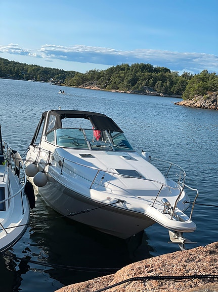Sea Ray Sundancer 290 29 of 30
