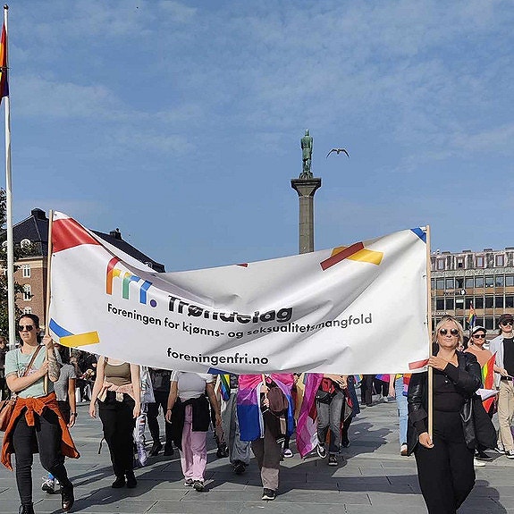 Bilde 2 av 2 i jobbannonse-galleriet