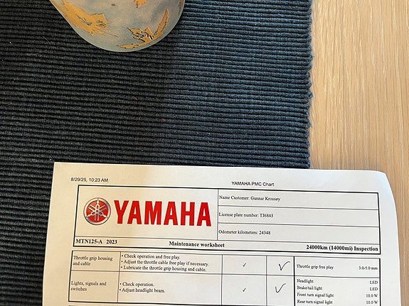 Yamaha MT-125 22 of 22