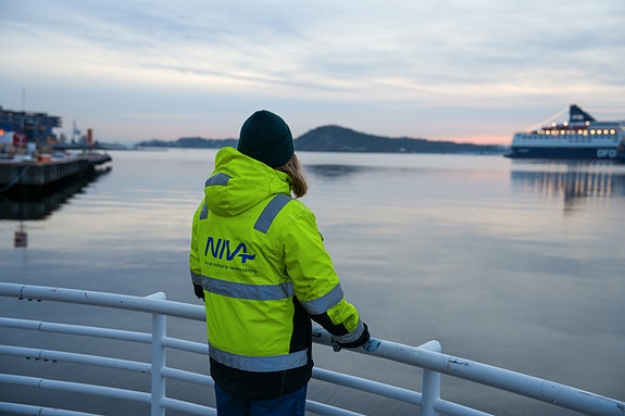 Bilde 4 av 7 i jobbannonse-galleriet