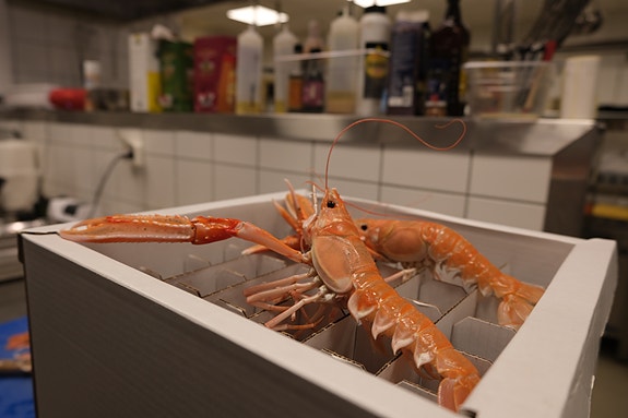 Bilde 6 av 10 i jobbannonse-galleriet