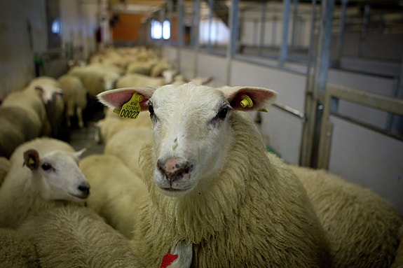 Bilde 2 av 5 i jobbannonse-galleriet