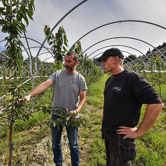 Bilde 2 av 6 i jobbannonse-galleriet