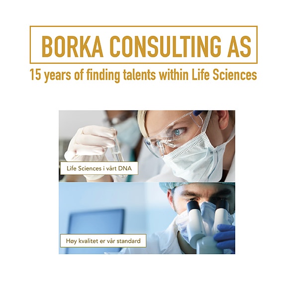 Bilde 5 av 5 i jobbannonse-galleriet