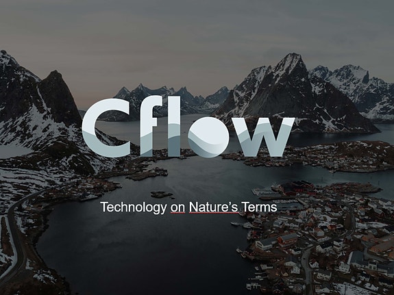 Bilde 2 av 2 i jobbannonse-galleriet