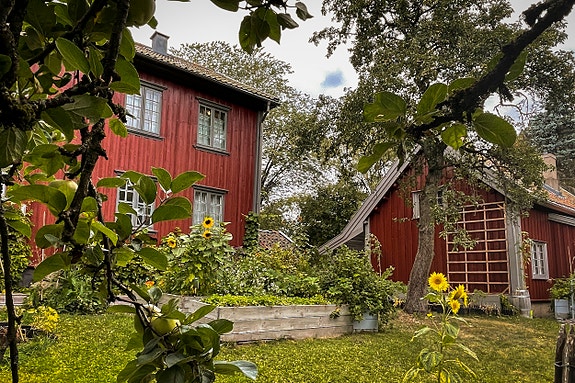 Bilde 1 av 3 i jobbannonse-galleriet