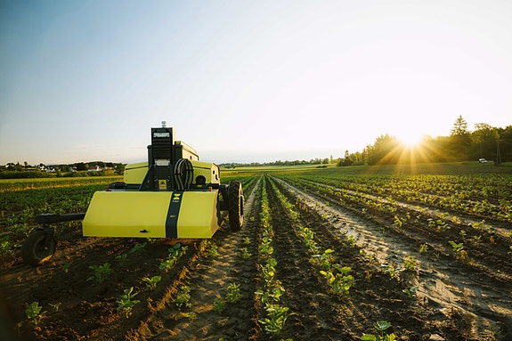 Bilde 2 av 7 i jobbannonse-galleriet