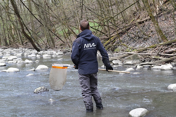 Bilde 4 av 5 i jobbannonse-galleriet