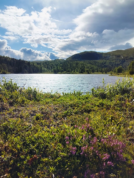 Bilde 7 av 9 i jobbannonse-galleriet