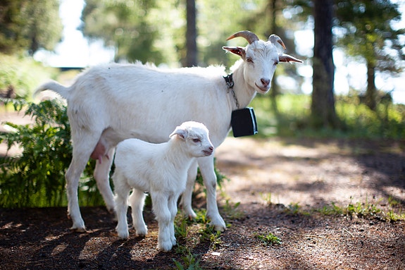 Bilde 2 av 4 i jobbannonse-galleriet
