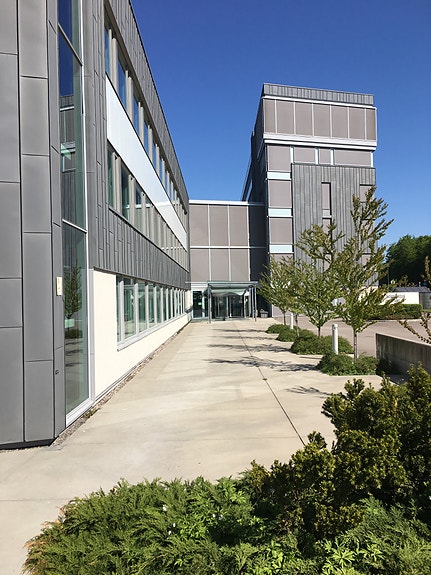 Vårt kontor i Sandefjord, Fokserød