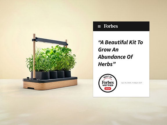 Auk Mini har vunnet 6 internasjonale priser, og omtale i Forbes