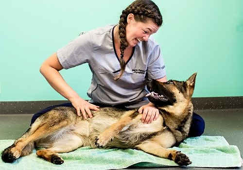 Bilde 3 av 3 i jobbannonse-galleriet