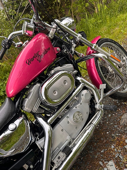 Harley-Davidson XL 883 Sportster 5 of 21