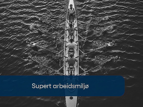 Bilde 3 av 7 i jobbannonse-galleriet