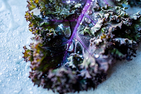 Bilde 2 av 2 i jobbannonse-galleriet