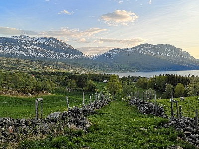 Bilde 1 av 1 i jobbannonse-galleriet