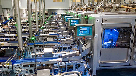 Seks automatiske sløyemaskiner fra leverandør Baader.