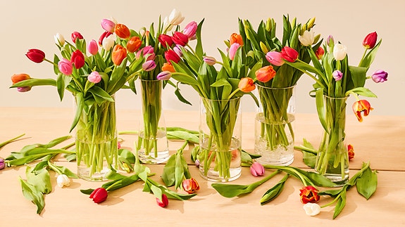 Bilde 1 av 8 i jobbannonse-galleriet