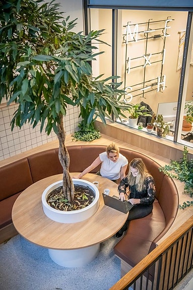 Bilde 5 av 5 i jobbannonse-galleriet
