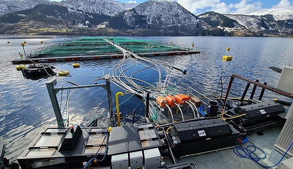 Bilde 2 av 4 i jobbannonse-galleriet