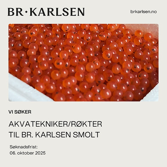 Bilde 1 av 1 i jobbannonse-galleriet