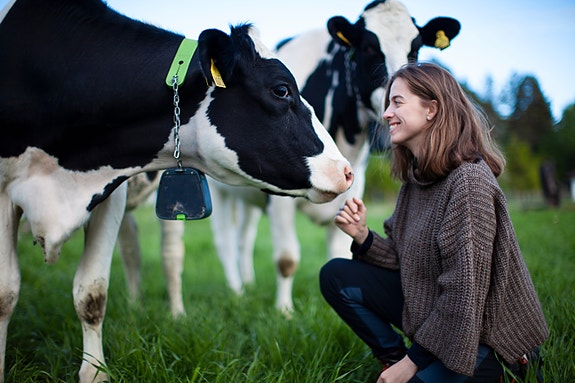 Bilde 2 av 2 i jobbannonse-galleriet