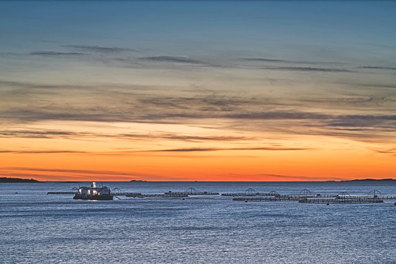 Bilde 1 av 5 i jobbannonse-galleriet