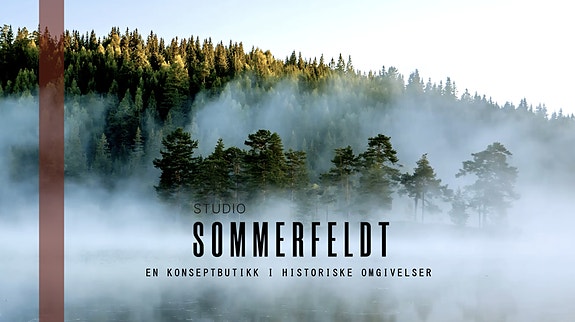 Bilde 1 av 3 i jobbannonse-galleriet