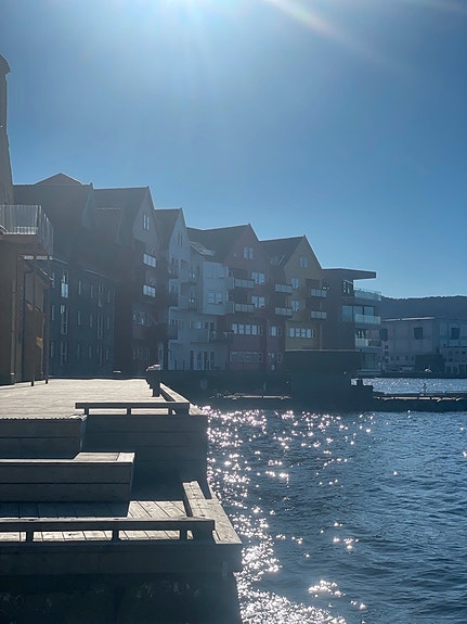 Bilde 1 av 1 i jobbannonse-galleriet