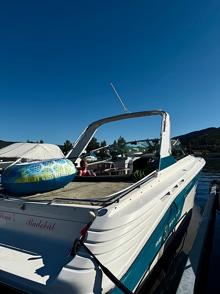 Sea Ray Sunsport 31 5 of 5