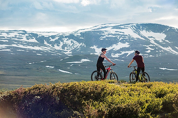 Bilde 3 av 8 i jobbannonse-galleriet