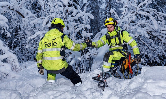 Bilde 2 av 3 i jobbannonse-galleriet