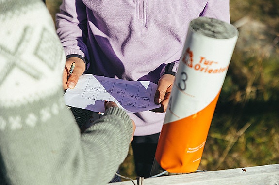 Bilde 2 av 10 i jobbannonse-galleriet