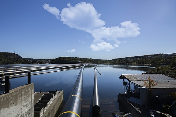 Bilde 2 av 4 i jobbannonse-galleriet