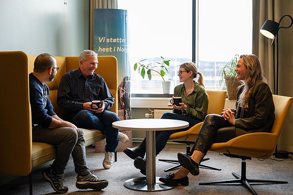 Bilde 1 av 1 i jobbannonse-galleriet