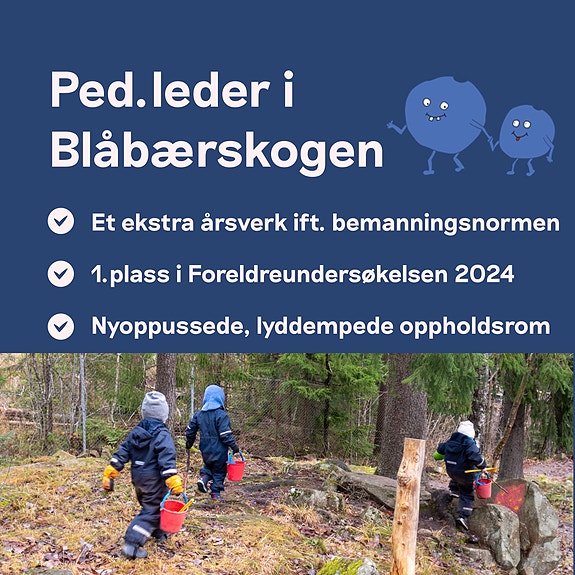 Bilde 1 av 10 i jobbannonse-galleriet