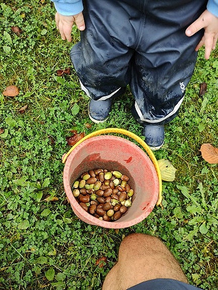 Bilde 4 av 6 i jobbannonse-galleriet