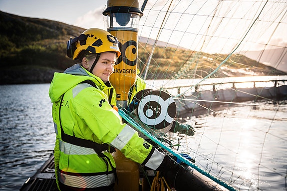 Bilde 3 av 3 i jobbannonse-galleriet